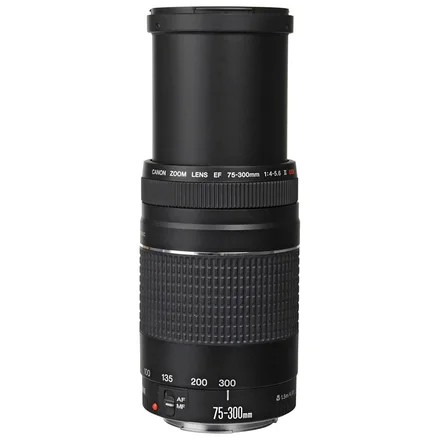 Объектив Canon EF 75-300mm f/4-5.6 III