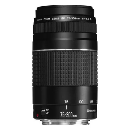 Объектив Canon EF 75-300mm f/4-5.6 III